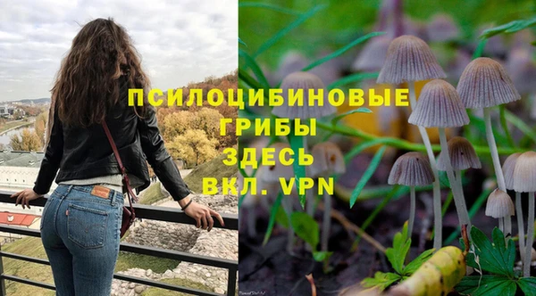 гашик Кукмор